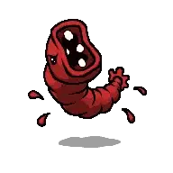 Scolex