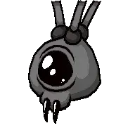 Triachnid