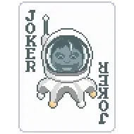 Space Joker