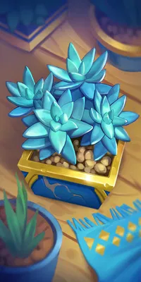 Succulents