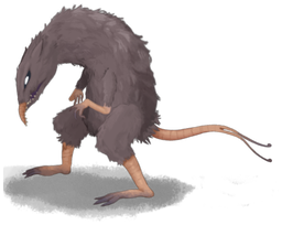 Two-Tailed Rat
