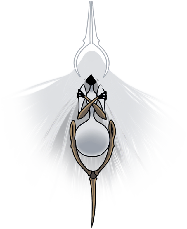 Grand Mother Silk