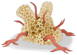 Fossil Stalker