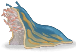 Corpse Slug