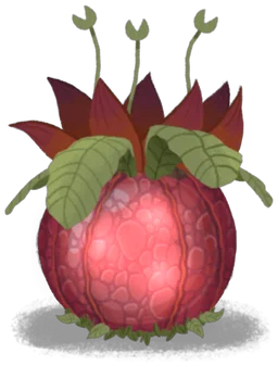 Snapping Jaxfruit