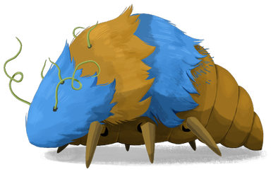 Louse Progenitor