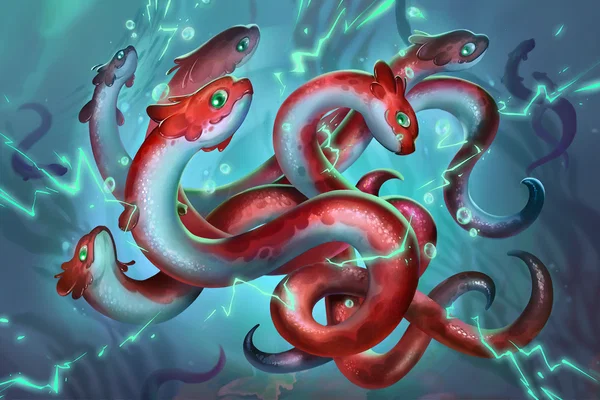 Electric Eels