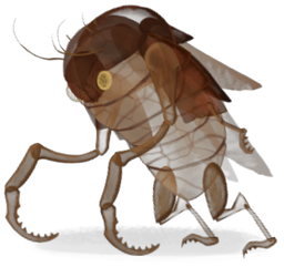 Exoskeleton