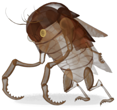 Exoskeleton
