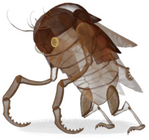 Exoskeleton