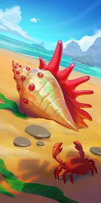 Sea Shell