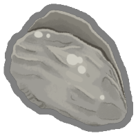 Nutritious Oyster