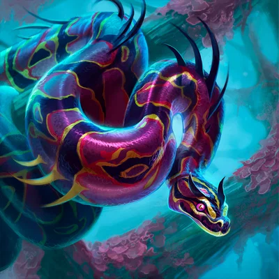 Boa Constrictor