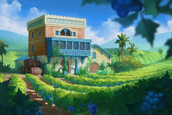 Vineyard