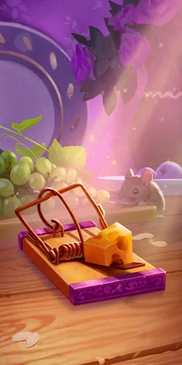 Mouse Trap